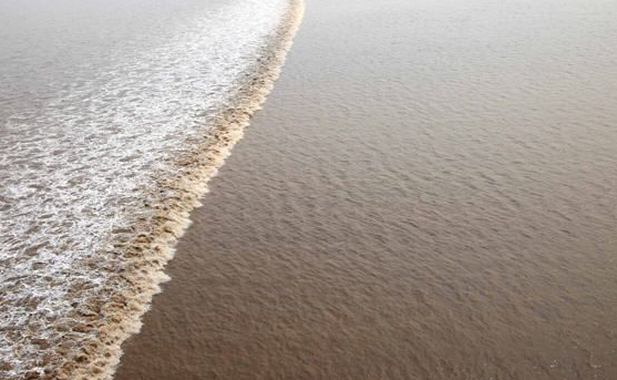 钱塘江观潮时间,钱塘江观潮最佳时间和地点图3