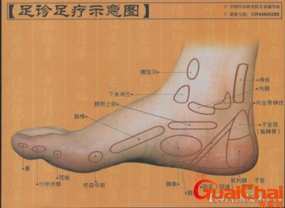 ​脚的各个部位详细图结构图 脚的各个部位详细图名称