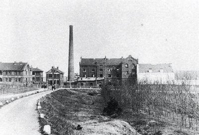 ​哈尔滨啤酒新上市_哈尔滨啤酒上市公司