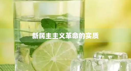 新民主主义革命的党史实质 新民主主义革命的党史实质
