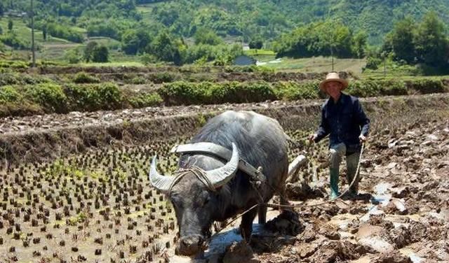 造成空气污染的原因,氧气、氢气、二氧化碳、氮气、二氧化硫,属于空气污染物的气体是?图8