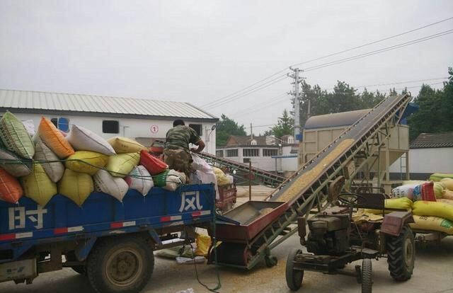 造成空气污染的原因,氧气、氢气、二氧化碳、氮气、二氧化硫,属于空气污染物的气体是?图6