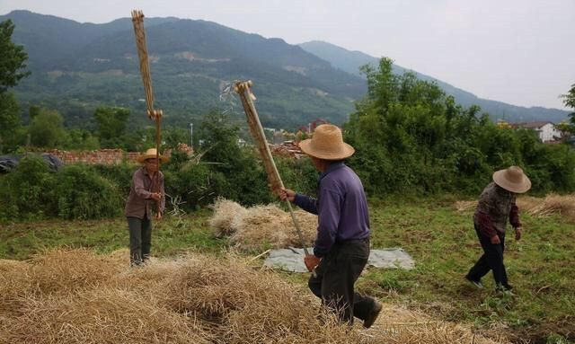 造成空气污染的原因,氧气、氢气、二氧化碳、氮气、二氧化硫,属于空气污染物的气体是?图4
