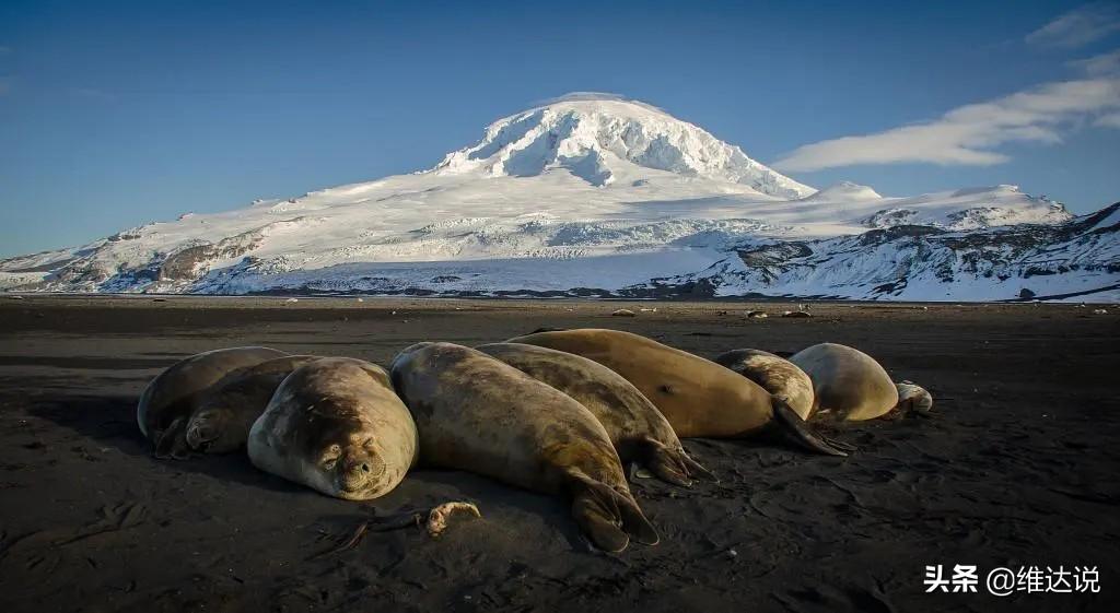 赫德与麦克唐纳群岛在哪里(赫德屿麦克唐纳群岛的含义)