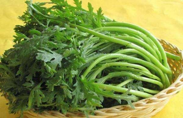 吃火锅配什么菜,吃火锅不可缺少的荤素菜有哪些?图1