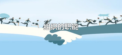 ​组织的职能有什么（组织职能包括哪些主要内容）