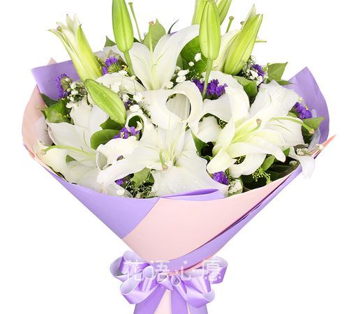 百合花的花语除了纯洁还有什么