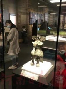 鸮和猫头鹰区别(领角鸮和猫头鹰区别)