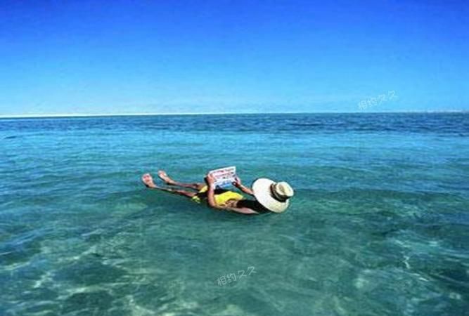 红海和死海是海洋吗