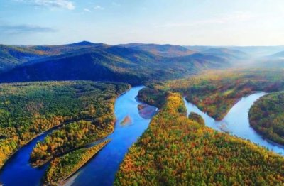 ​会飞的鸭子是什么品种（飞行速度达65公里）