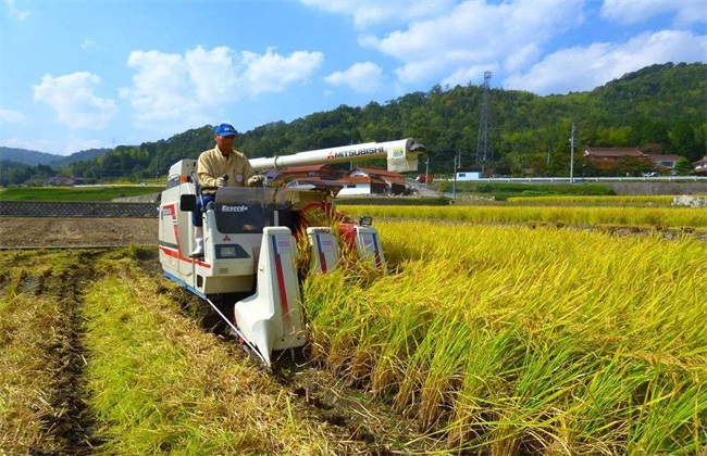 农村现在干什么挣钱快：农村干什么能赚钱快