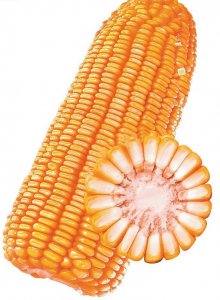 ​10个家庭加工致富项目，农村加工致富项目