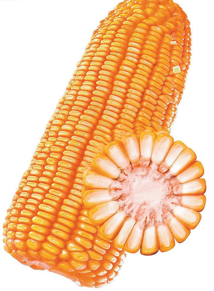 10个家庭加工致富项目：哪些小型加工致富项目最赚钱？