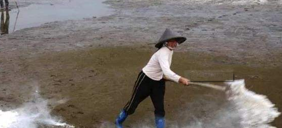 生石灰是什么梗,生石灰遇到水是什么梗图1