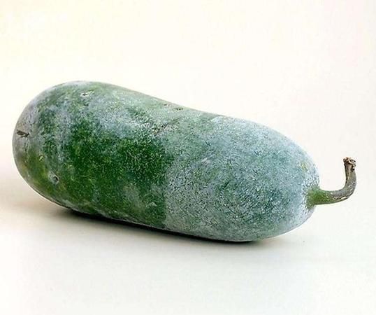 冬天冬瓜怎么保存不坏