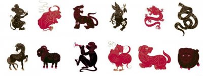 ​鸡后面是什么生肖(鸡后面是什么生肖呢)