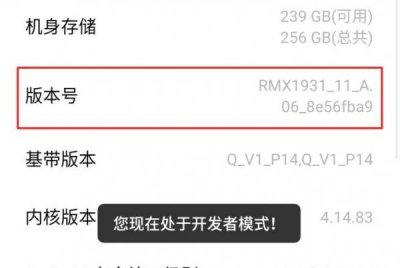 ​手机开发者模式是什么意思 开发者选项作用你弄懂了吗