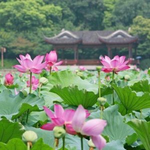 ​女生最喜欢的称呼，女人最爱听这4种称呼