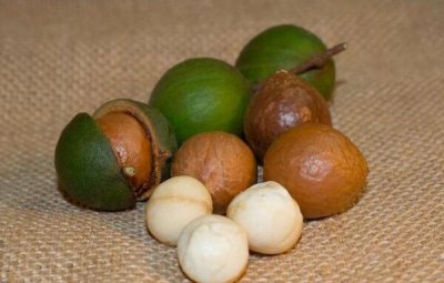 ​夏威夷果不能跟什么一起吃，富含鞣酸和草酸的食物