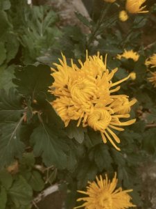 ​女人肉体出轨值得被原谅吗，出轨女人被丈夫原谅后