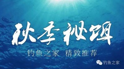​钓鲢鳙怎样拌饵料（饵料6种鲢鳙必备自制饵）