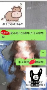 ​牛子是什么梗（牛子的解释）