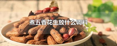 ​煮五香花生放什么调料