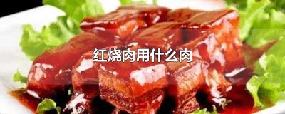 ​红烧肉用什么肉