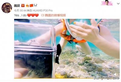 ​魏晨向圈外女友求婚成功！两人相识多年 魏晨女友资料照片介绍