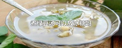 ​煮绿豆汤可以放冰糖吗