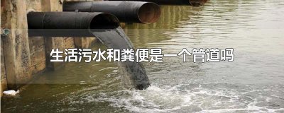 ​生活污水和粪便是一个管道吗