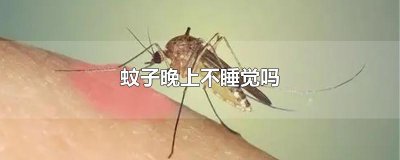 ​蚊子晚上不睡觉吗