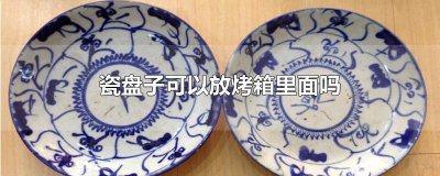 ​瓷盘子可以放烤箱里面吗