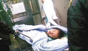 北京大熊猫4次咬人事件,是熊猫该死,还是作死游客故意犯规?