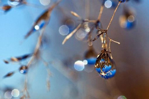 寒露节气的特点是什么?含义是什么