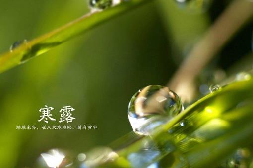 寒露节气的特点是什么?含义是什么