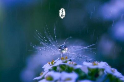 ​寒露节气的特点是什么?含义是什么