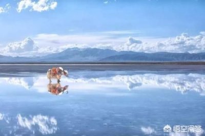 ​暑假适合去哪里旅游凉快(7月8月带孩子适合去哪里旅游)