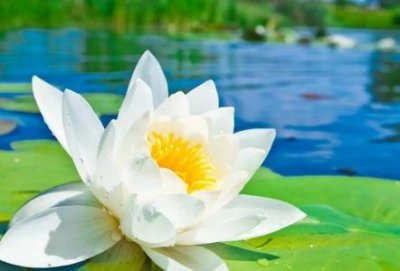 ​出门忘带身份证怎么坐高铁出差忘带身份证怎么坐高铁