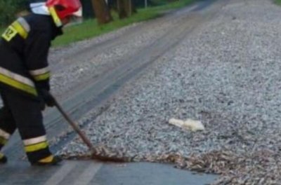 ​世界上八大罕见的怪雨，你见过几种？