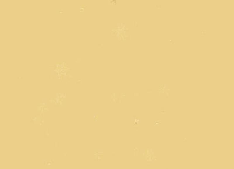 离婚前夫说复合怎么办 离婚前夫说复合怎么办