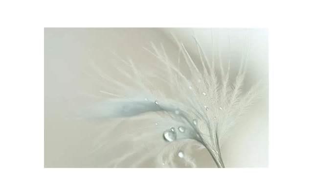 什么样的女生一看就是没谈过恋爱的,男生眼中的优质女生 什么样的女生一看就是没谈过恋爱的,男生眼中的优质女生