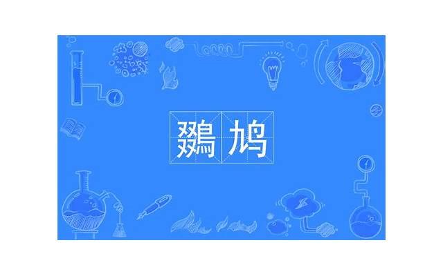 裸婚到底是什么意思？