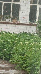 ​台海战争一旦爆发，将是一场人间地狱！伤亡将达到何种惨烈程度？