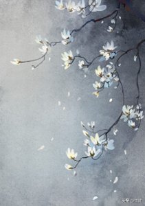 ​更具文化底蕴的名字推荐