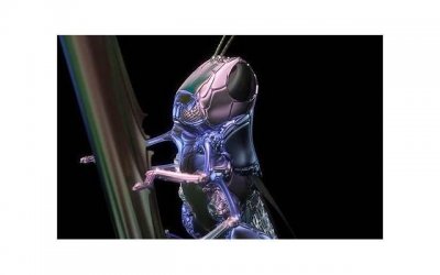 ​浪漫七夕，送你一份古诗大礼