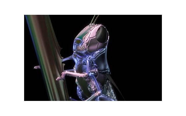 浪漫七夕，送你一份古诗大礼