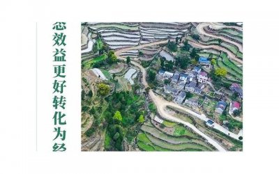 ​探究康欣胶囊的功效与作用：了解它为何备受关注