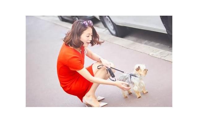 从破除防备心开始 追内向的女孩