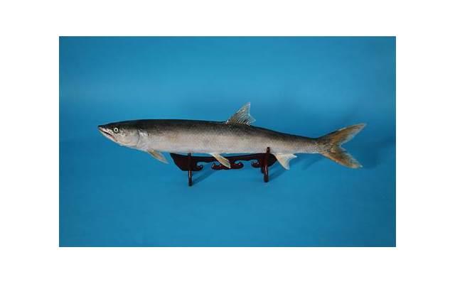 情场渣女的表现